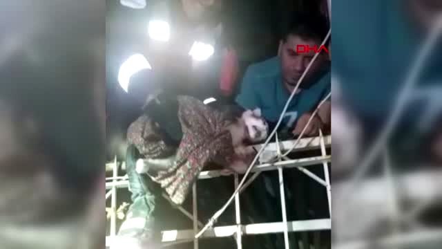 DENİZLİ Boğazına korkuluk demiri saplanan kediyi itfaiye kurtardı