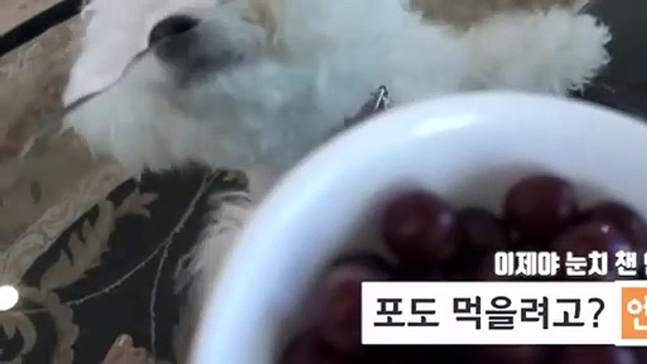 경기출장안마 -후불100%ョØ7ØE7333E9649｛카톡LGT010｝ 경기전지역출장안마 경기오피걸 경기출장마사지 경기안마 경기출장마사지 경기콜걸샵∠⊥≤