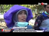 Lumba-lumba Terdampar di Pantai Sappoang