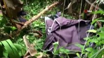 - Tayland'da Düşen Uçağın Enkazı Görüntülendi