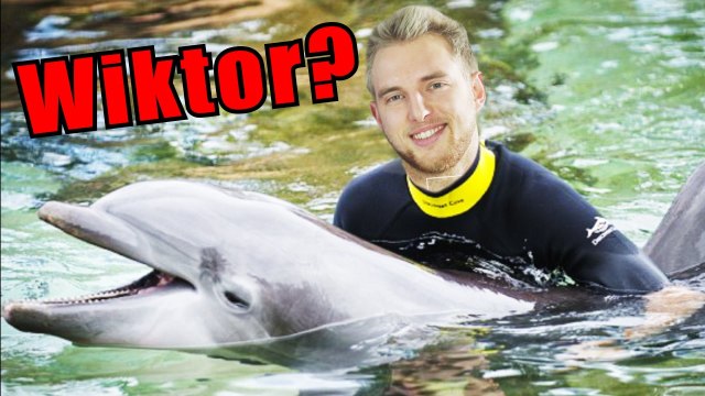 NASZE NAJDZIWNIEJSZE PRACE... [PONKI SOCIAL]