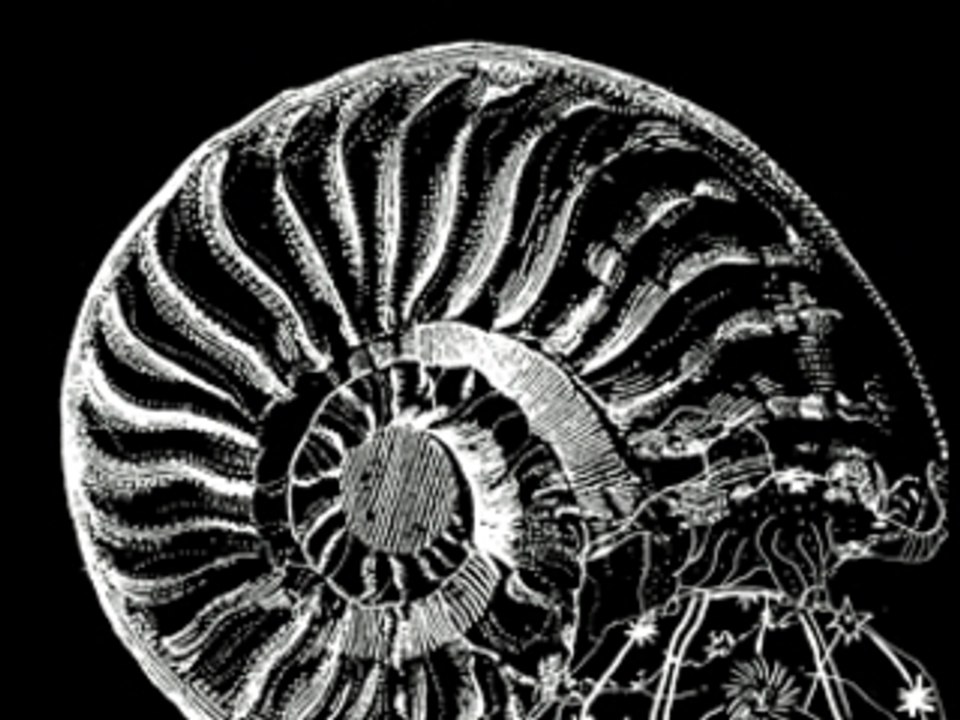 Objets-sorensoneleph