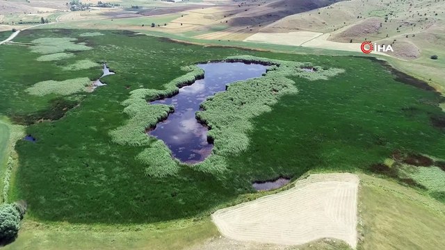 Yok olma tehlikesindeki Kaz Gölü yeniden hayat buldu...Kaz Gölü havadan görüntülendi