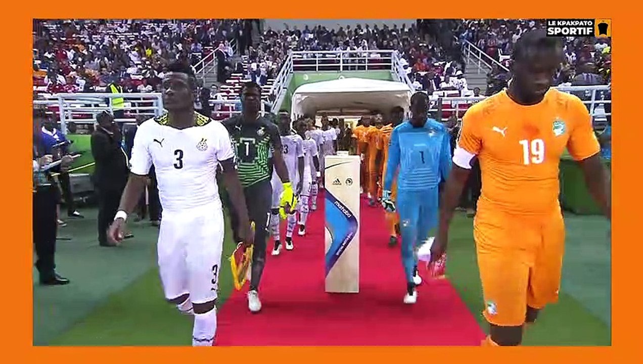 Mémoire d'éléphant avec le magnific