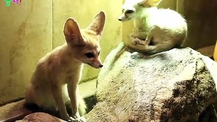 임실출장안마 -후불100%ョØ7ØE7333E9649｛카톡LGT010｝ 임실전지역출장안마 임실오피걸 임실출장마사지 임실안마 임실출장마사지 임실콜걸샵сту