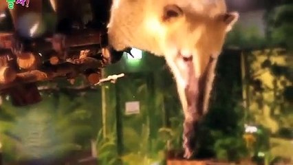 성산구출장안마 -후불100%ョØ7ØE7333E9649｛카톡VV23} 성산구전지역출장안마 성산구오피걸 성산구출장마사지 성산구안마 성산구출장마사지 성산구콜걸샵ОПР