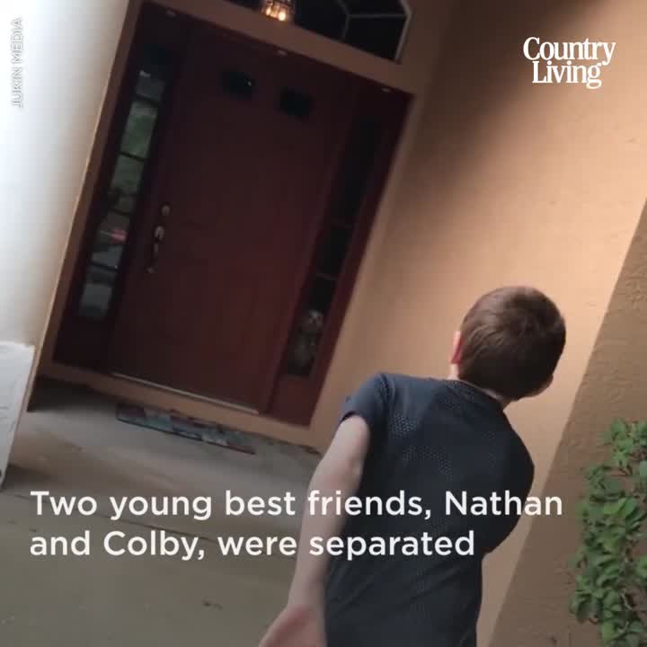 Boy Surprises Best Friend
