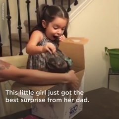 Military Dad Surprises Daughter for 5th Birthday