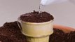 You will wet your plants with these unusual gardening hacks!