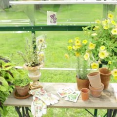 Here's How to Make Your Own Mini Greenhouse