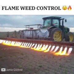 Flame Weed Control