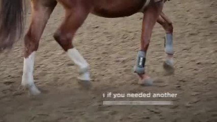 Horseback Riding Has Some Surprising Health Benefits