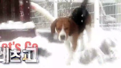 용산출장안마 -후불100%ョØ7ØE7301E9649｛카톡MOK66} 용산전지역출장안마 용산오피걸 용산출장마사지 용산안마 용산출장마사지 용산콜걸샵ざしじ