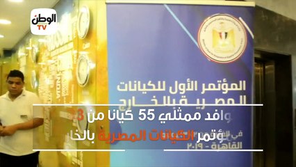 بدء توافد ممثلي ٥٥ كيانا من 33 دولة لمؤتمر الكيانات المصرية بالخارج
