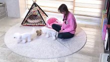 사하구출장안마 -후불100%ョØ7ØE7333E9649｛카톡VV23} 사하구전지역출장안마 사하구오피걸 사하구출장마사지 사하구안마 사하구출장마사지 사하구콜걸샵опр