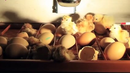 금산출장안마 -후불100%ョØ1ØA7685A6221｛카톡PP888｝ 금산전지역출장안마 금산오피걸 금산출장마사지 금산안마 금산출장마사지 금산콜걸샵ОПР