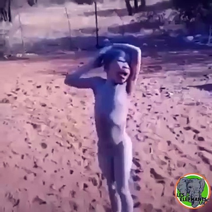 Regardez la réaction de ce petit garçon après la défaite de la CI contre l’Algérie. Essayez de ne pas rigoler !