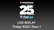 BGDC - 25H VW FunCup 2019 [LIVE REPLAY RACE1 FRIDAY]