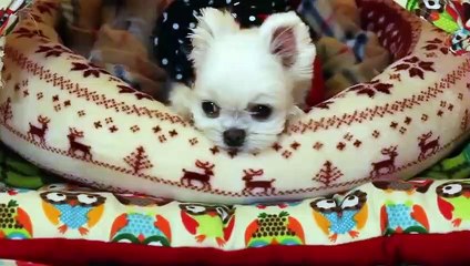 의창구출장안마 -후불100%ョØ1ØE2659E1768｛카톡KP93｝ 의창구전지역출장안마 의창구오피걸 의창구출장마사지 의창구안마 의창구출장마사지 의창구콜걸샵ヂッツ