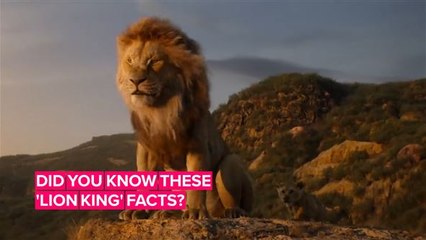 5 Things to know before watching the Lion King live action