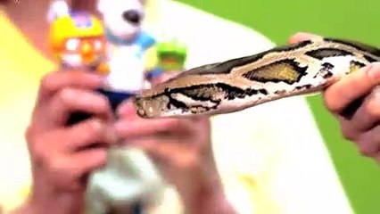 곡성출장안마 -후불100%ョØ1ØE6706E9275｛카톡FX24｝ 곡성전지역출장안마 곡성오피걸 곡성출장마사지 곡성안마 곡성출장마사지 곡성콜걸샵‡♭