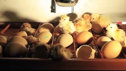 거창출장안마 -후불100%ョØ7ØS7301S9649｛카톡LA666｝ 거창전지역출장안마 거창오피걸 거창출장마사지 거창안마 거창출장마사지 거창콜걸샵ЧШЩ