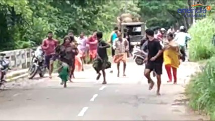 തലനാരിഴക്ക് രക്ഷപ്പെട്ട്  വനംവകുപ്പ്  ഉദ്യോഗസ്ഥരും നാട്ടുകാരും