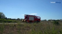 VIAS - Un incendie ravage plusieurs hectares aux portes de la commune