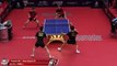 Ma Long/Lin Gaoyuan vs Kristian Karlsson/Mattias F. | 2019 ITTF Australian Open Highlights (1/4)