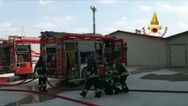Santa Margherita d’Adige (PD) - In fiamme stabilimento avicolo (12.07.19)