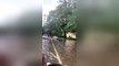 Cars left partially submerged on residential New Orleans street as Storm Barry hits