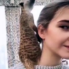 Ce suricate cherche quelque sa maman. Trop cute !