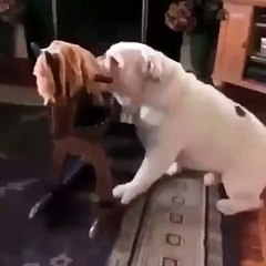 Attacchiamo miei prodi