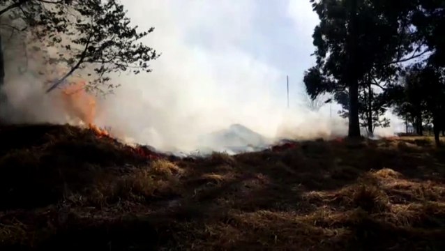 Bombeiros são acionados para combater incêndio no Colmeia