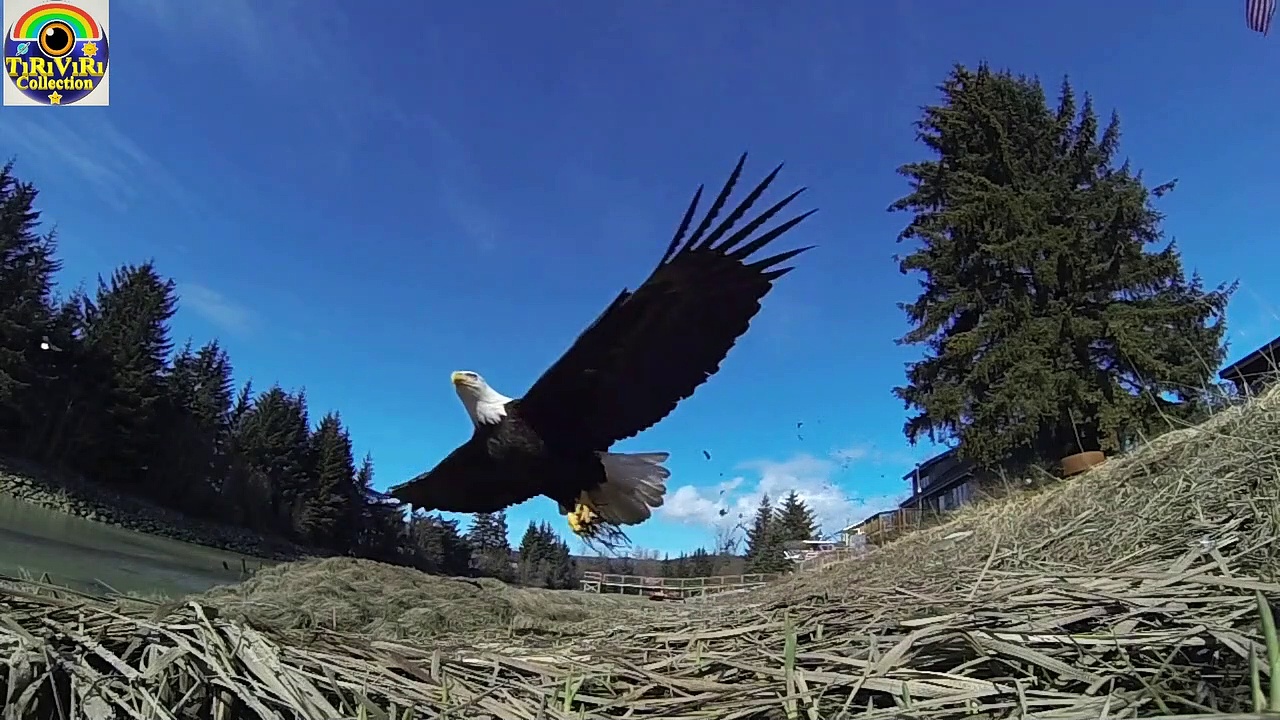 DOĞA-BİLİM-TEKNOLOJİ