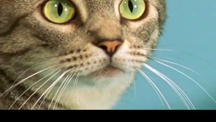 통영출장안마 -후불100%ョØ1ØE2659E1768｛카톡SN92｝ 통영전지역출장안마 통영오피걸 통영출장마사지 통영안마 통영출장마사지 통영콜걸샵ОПР