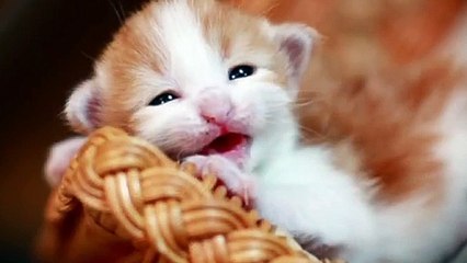 용산출장안마 -후불100%ョØ1ØE7362E3210｛카톡VR91｝ 용산전지역출장안마 용산오피걸 용산출장마사지 용산안마 용산출장마사지 용산콜걸샵ぺほま