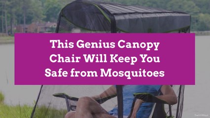 This Genius Canopy Chair Will Keep You Safe from Mosquitoes