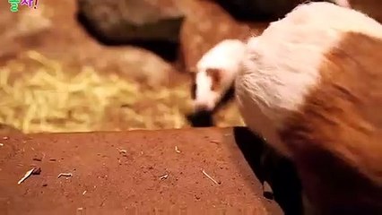 순천출장안마 -후불100%ョØ1ØE6706E9275｛카톡ZU69｝ 순천전지역출장안마 순천오피걸 순천출장마사지 순천안마 순천출장마사지 순천콜걸샵сту