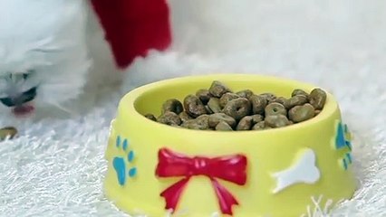 합천출장안마 -후불100%ョØ7ØS7333S9649｛카톡LGT010｝ 합천전지역출장안마 합천오피걸 합천출장마사지 합천안마 합천출장마사지 합천콜걸샵≪≫√