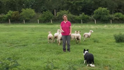 La nouvelle ère des paysans - C'est vous la France (12/07/2019)