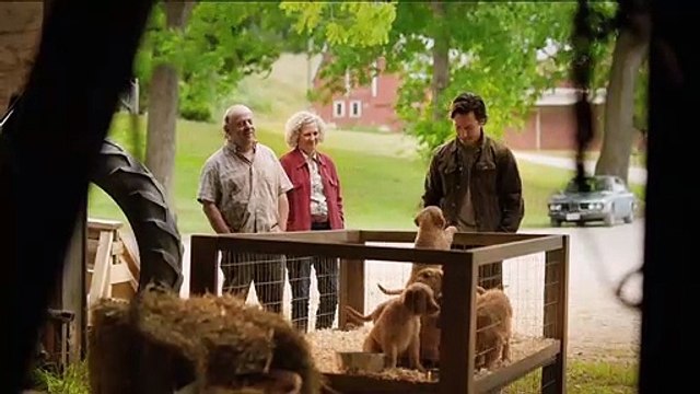 The Art of Racing in the Rain Movie Clip - Pick of the litter