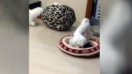 금천출장안마 -후불100%ョØ7ØA7575A0062｛카톡DK654｝ 금천전지역출장안마 금천오피걸 금천출장마사지 금천안마 금천출장마사지 금천콜걸샵どなに