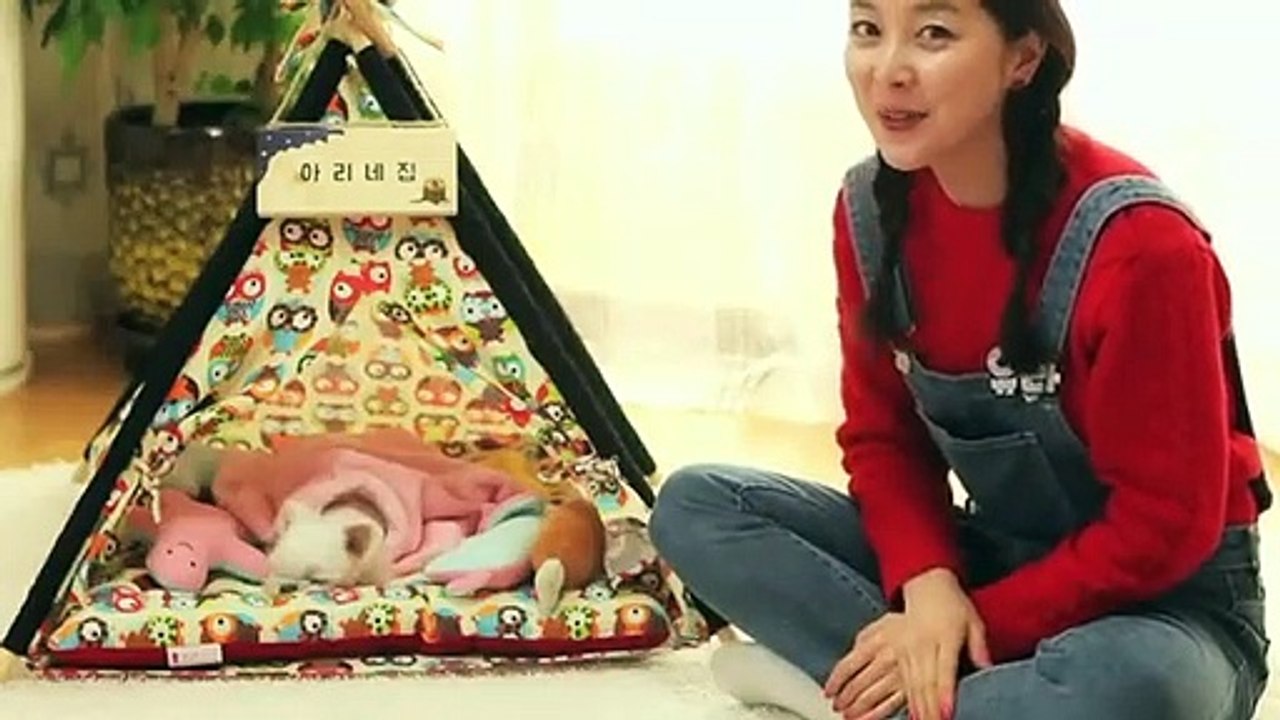 예산출장안마 -후불100%ョØ7ØS7333S9649｛카톡VV23} 예산전지역출장안마 예산오피걸 예산출장마사지 예산안마 예산출장마사지 예산콜걸샵ぺほま