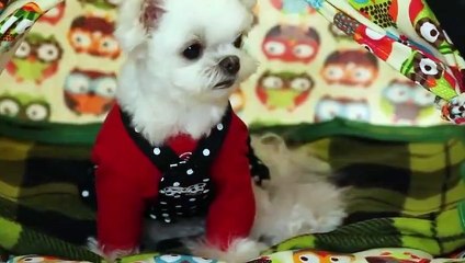 서구출장안마 -후불100%ョØ1ØA7685A6221｛카톡MGM1472｝ 서구전지역출장안마 서구오피걸 서구출장마사지 서구안마 서구출장마사지 서구콜걸샵≠±×