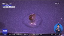 [스마트 리빙] 휴가철 계곡물에 수박 담가두지 마세요