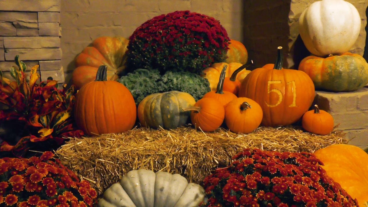 How To Etch Your Pumpkins