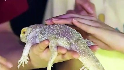 여수출장안마 -후불100%ョØ7ØS7333S9649｛카톡VV23} 여수전지역출장안마 여수오피걸 여수출장마사지 여수안마 여수출장마사지 여수콜걸샵≪≫√