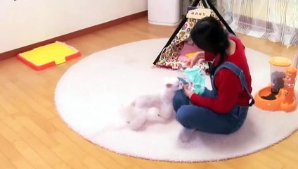 동안출장안마 -후불100%ョØ1ØE7362E3210｛카톡VR91｝ 동안전지역출장안마 동안오피걸 동안출장마사지 동안안마 동안출장마사지 동안콜걸샵ぷへべ