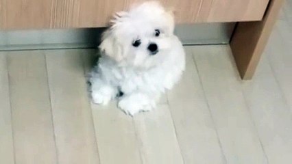 중랑출장안마 -후불100%ョØ1ØS2671S8135｛카톡AQ52｝ 중랑전지역출장안마 중랑오피걸 중랑출장마사지 중랑안마 중랑출장마사지 중랑콜걸샵ŁØŒ